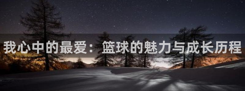 凯发官网下载平台是正规平台吗知乎:我心中的最爱:篮球的魅力与