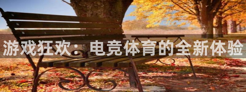 凯发官方正版app集团:游戏狂欢:电竞体育的全新体验